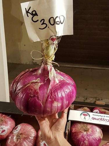 Veri semi cipolla rossa dolce - cipolla,